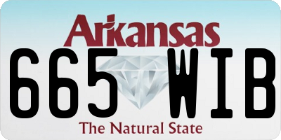 AR license plate 665WIB