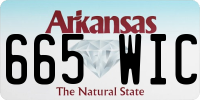 AR license plate 665WIC