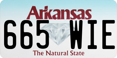 AR license plate 665WIE