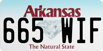 AR license plate 665WIF