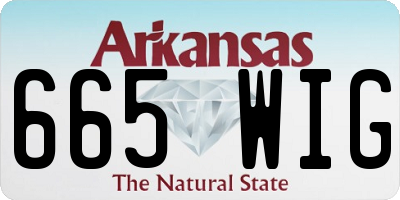 AR license plate 665WIG