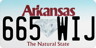 AR license plate 665WIJ