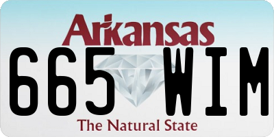 AR license plate 665WIM