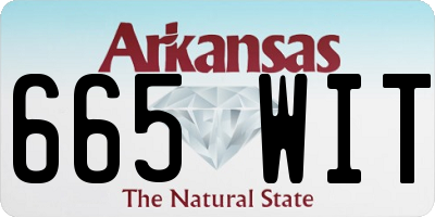 AR license plate 665WIT