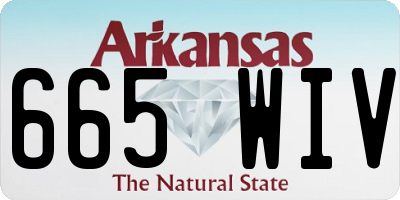 AR license plate 665WIV