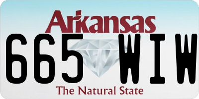 AR license plate 665WIW