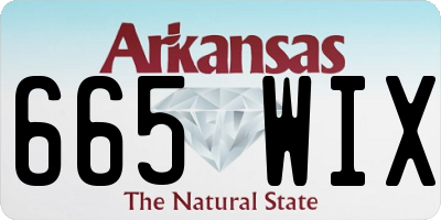 AR license plate 665WIX