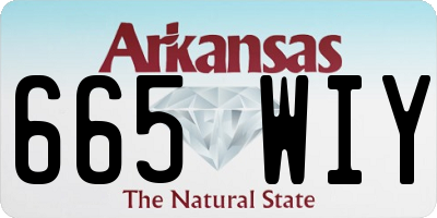 AR license plate 665WIY