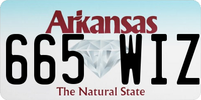 AR license plate 665WIZ