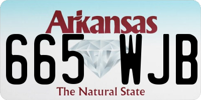AR license plate 665WJB