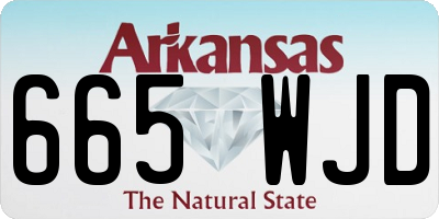 AR license plate 665WJD