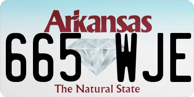 AR license plate 665WJE