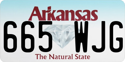 AR license plate 665WJG