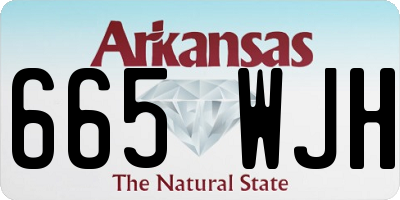 AR license plate 665WJH