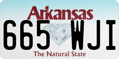 AR license plate 665WJI
