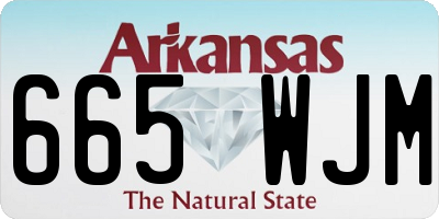 AR license plate 665WJM
