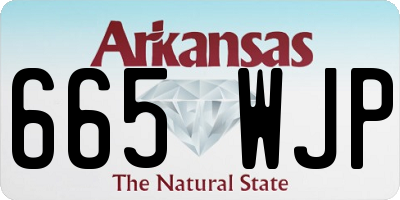 AR license plate 665WJP