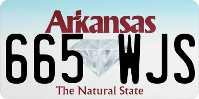 AR license plate 665WJS