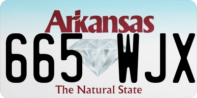 AR license plate 665WJX