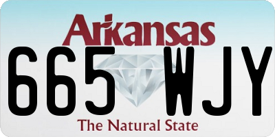 AR license plate 665WJY