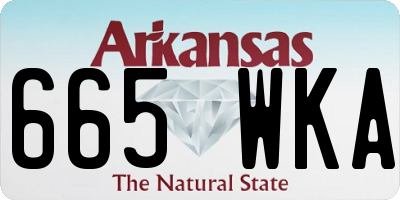 AR license plate 665WKA