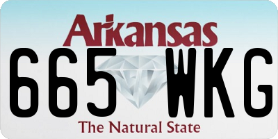 AR license plate 665WKG