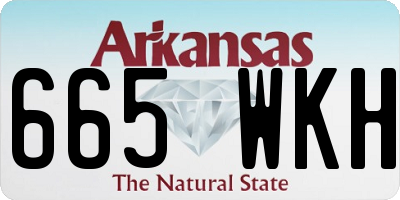 AR license plate 665WKH