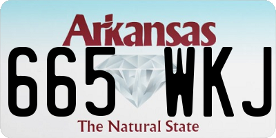 AR license plate 665WKJ
