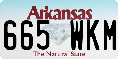 AR license plate 665WKM