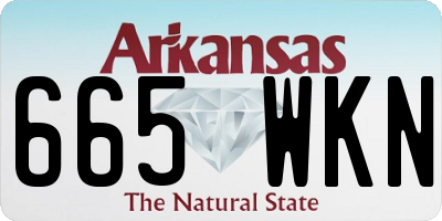 AR license plate 665WKN