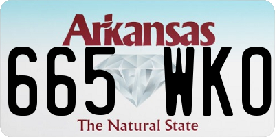 AR license plate 665WKO