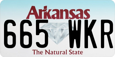 AR license plate 665WKR