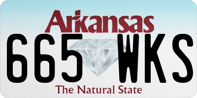 AR license plate 665WKS
