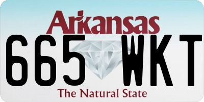 AR license plate 665WKT