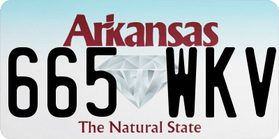 AR license plate 665WKV