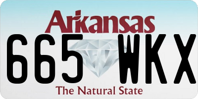 AR license plate 665WKX