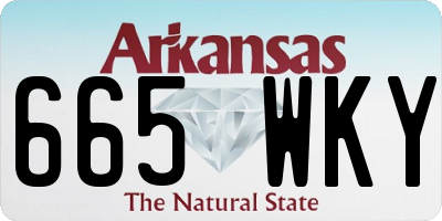 AR license plate 665WKY