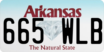 AR license plate 665WLB