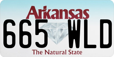 AR license plate 665WLD