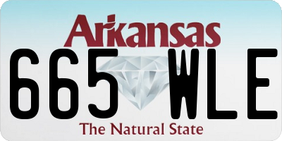 AR license plate 665WLE