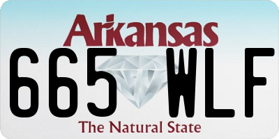 AR license plate 665WLF