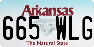 AR license plate 665WLG