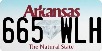 AR license plate 665WLH