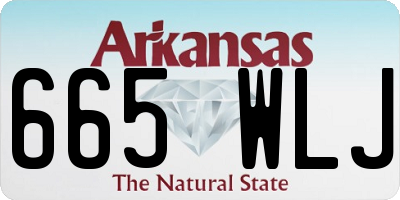 AR license plate 665WLJ