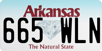 AR license plate 665WLN