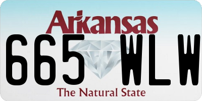 AR license plate 665WLW
