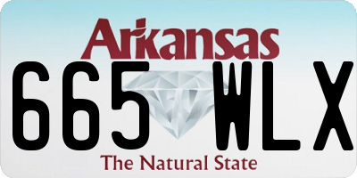 AR license plate 665WLX