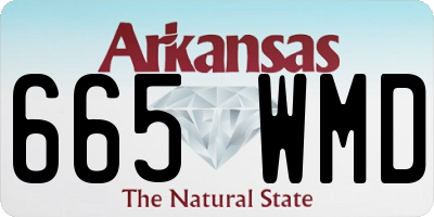 AR license plate 665WMD
