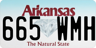 AR license plate 665WMH