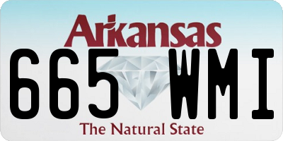 AR license plate 665WMI